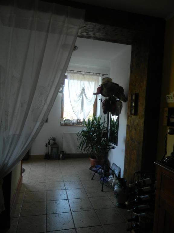 Pensiunea Romantic Sadu Exterior foto
