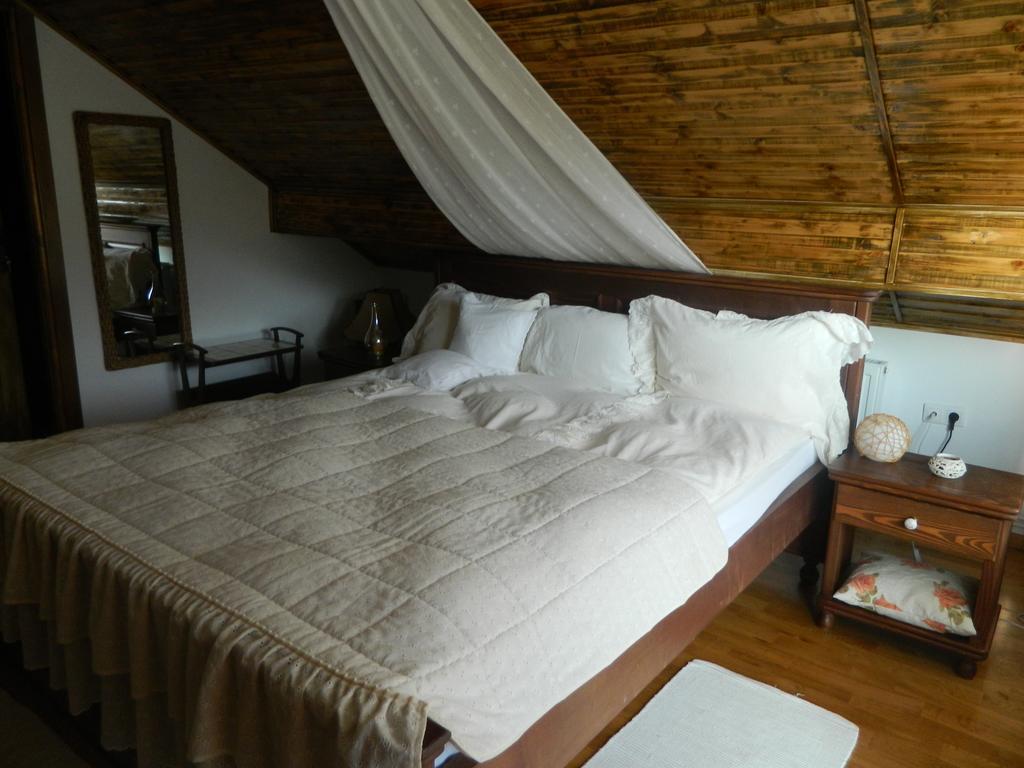 Pensiunea Romantic Sadu Exterior foto