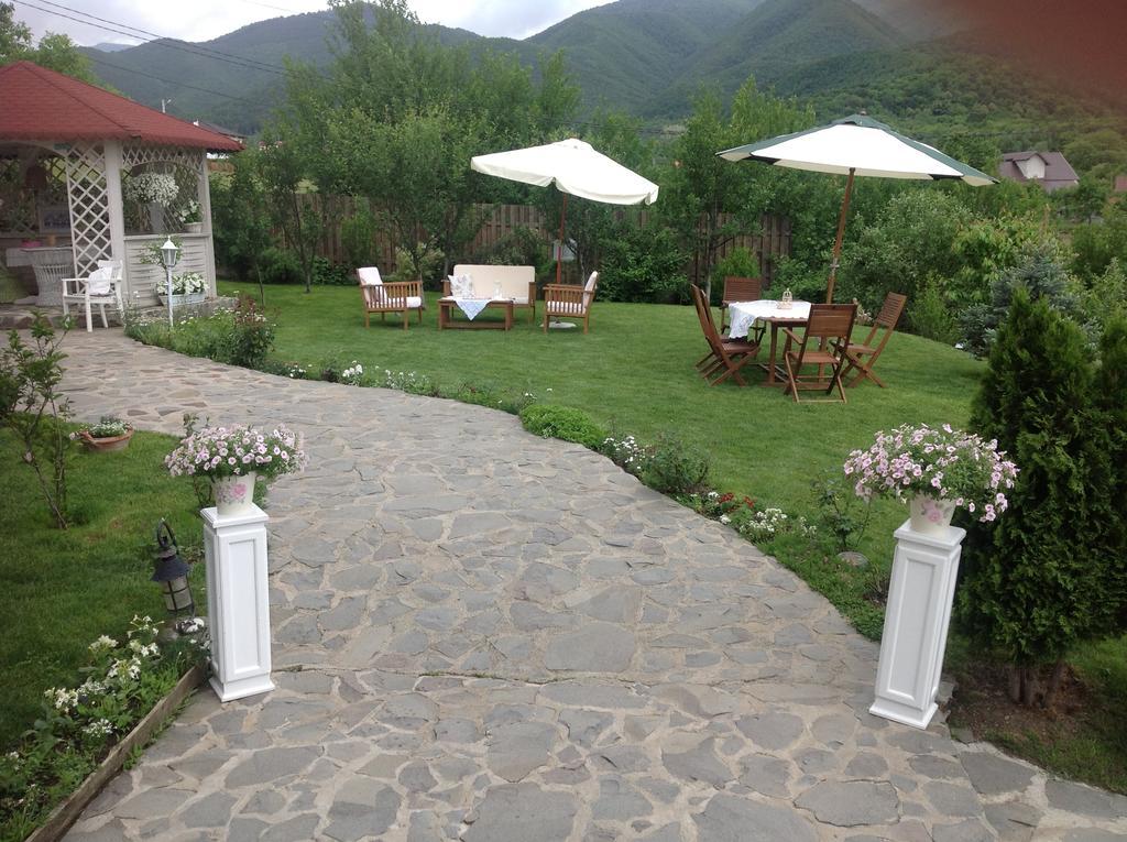 Pensiunea Romantic Sadu Exterior foto