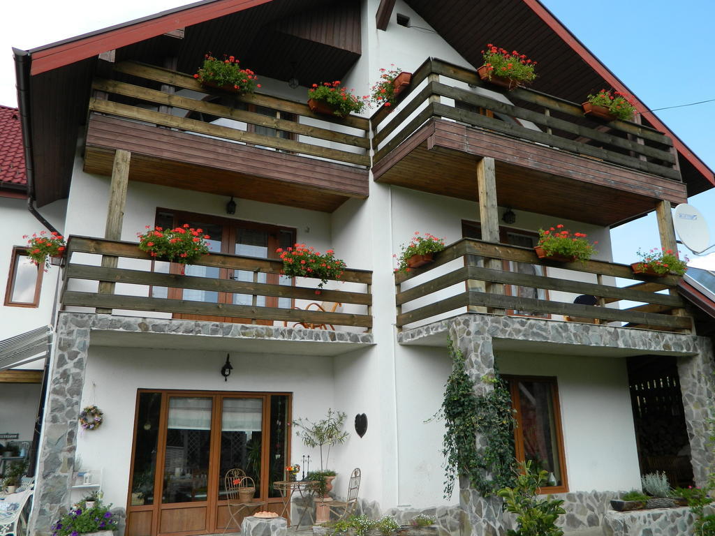 Pensiunea Romantic Sadu Exterior foto